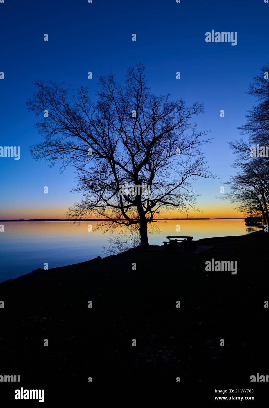 Silhouettierter Baum und Picknicktisch am Wheeler Lake in der Abenddämmerung. Stockfoto