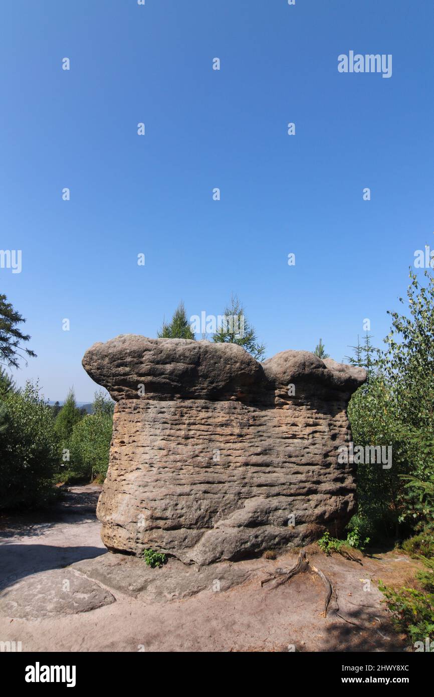 Steinpilze - Felsformation in den Broumov Wänden (Broumovske steny), Gebirge und Naturschutzgebiet, Teil des Tafelgebirges in der Tschechischen Republik Stockfoto
