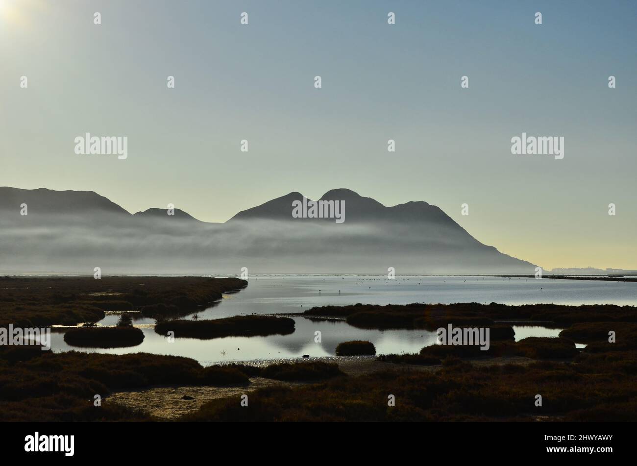 Blick am Morgen auf Feuchtgebiete mit den salzenden Seen, Cabo de Gata Nijar Naturpark in Almeria Südspanien. Stockfoto