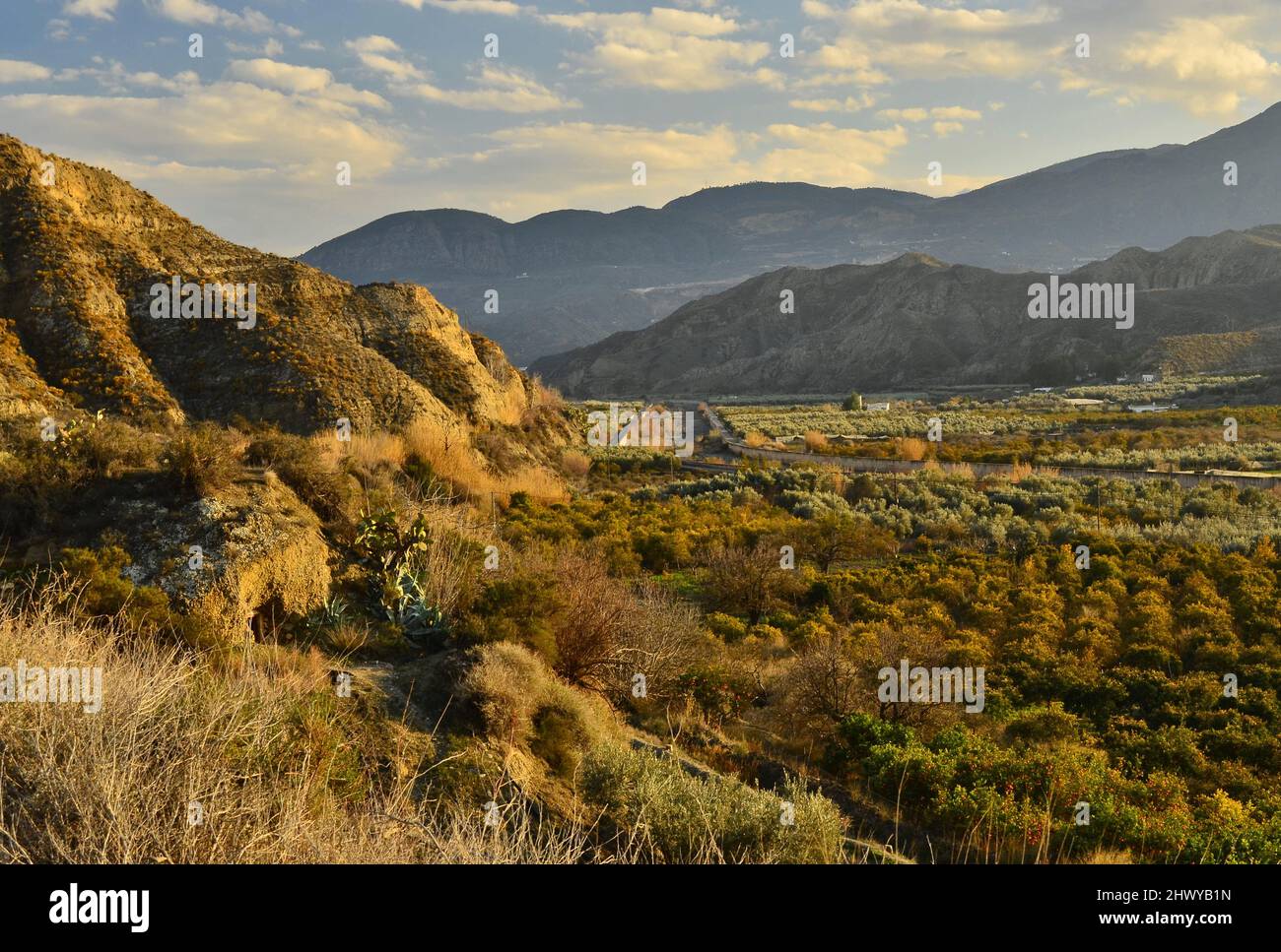 Trockener Flussbett des Rio Andarax mit landwirtschaftlichen Nutzpflanzen, vor allem Oliven- und Zitrusbäumen, trockenen Hängen der Sierra de Gador-Berge in Almeria im Süden Spaniens. Stockfoto