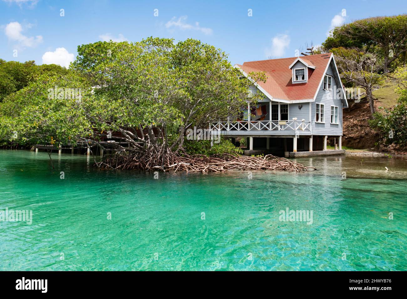 Haus in den Mangroven Stockfoto