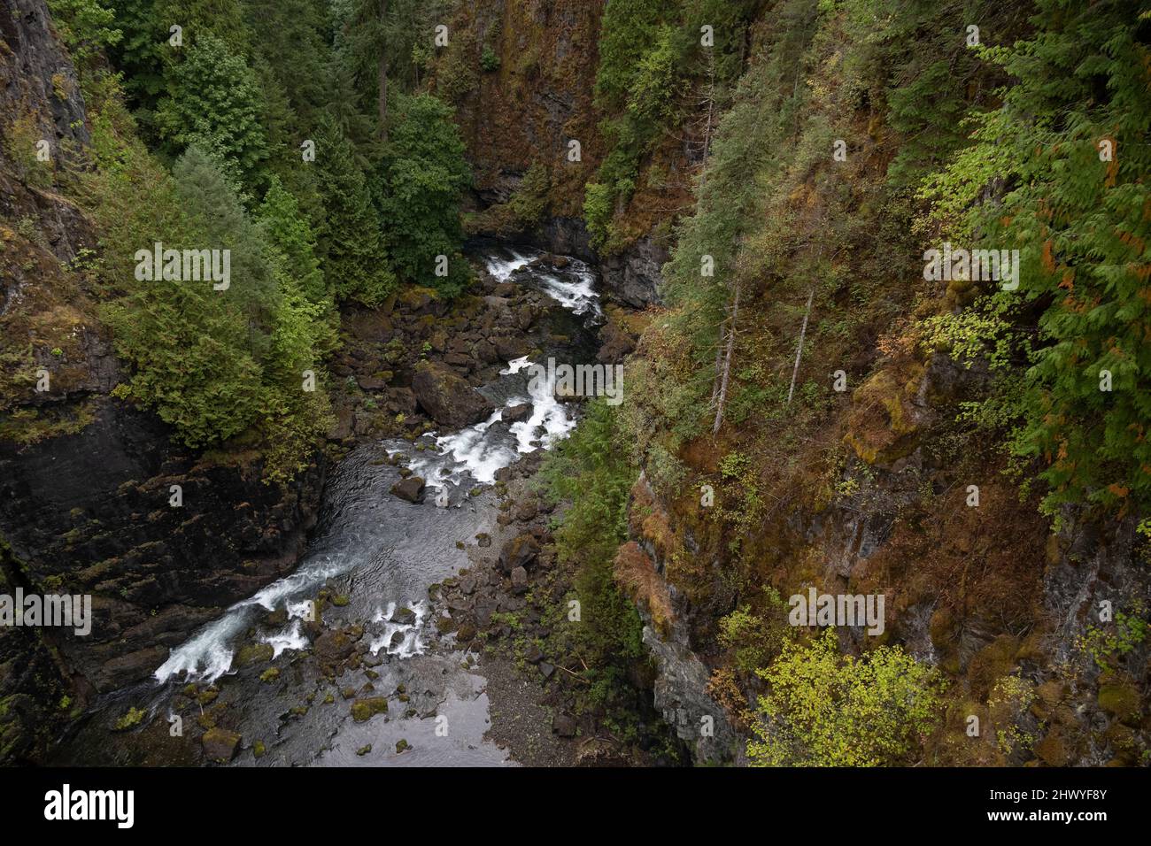 Teich am Fuße einer Schlucht im Elk Falls Provincial Park, Campbell River, Vancouver Island, British Columbia, Kanada Stockfoto