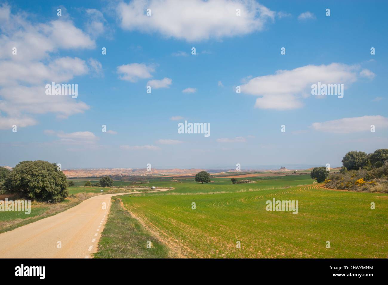 Straße und Anbaugebiet. Montuenga, Provinz Soria, Castilla Leon, Spanien. Stockfoto