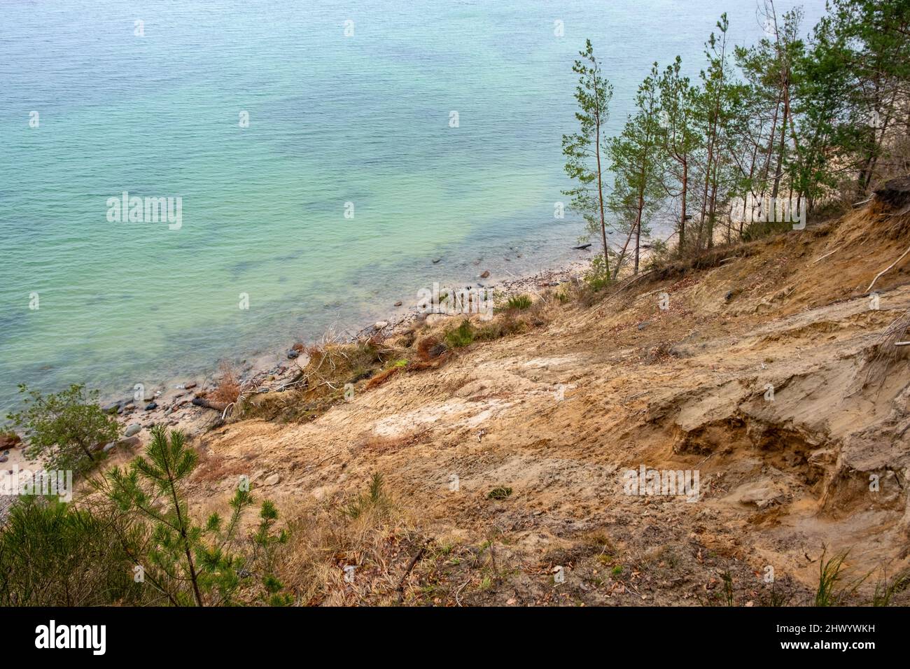 Abfallender Hang des Kliffs von Klif Orlowski - Löss steiles Ufer, das von Ostseewellen in Gdynia Orlowo in Pommern in Polen untergraben wurde Stockfoto