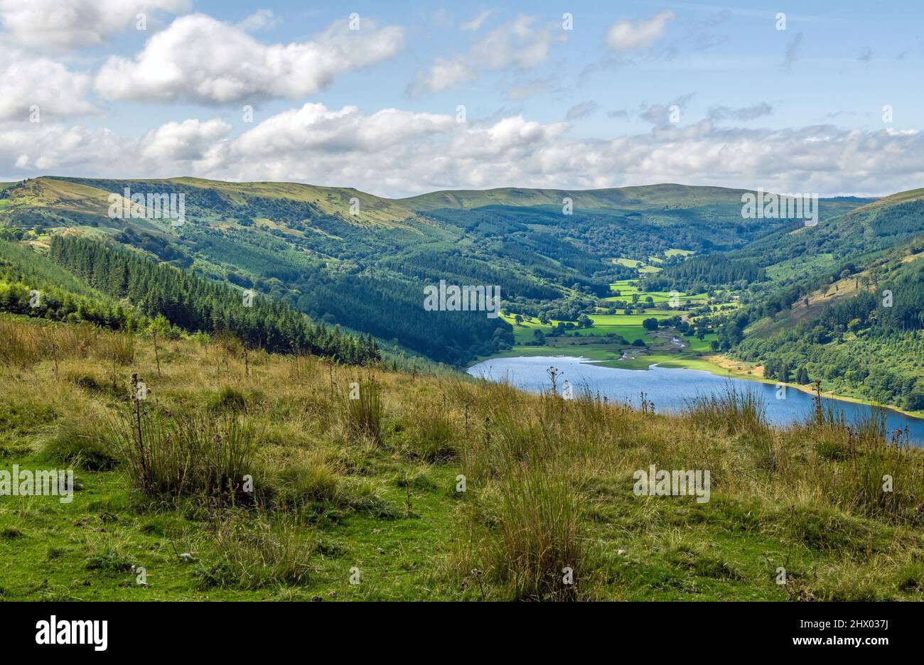 Eine fantastische Aussicht auf das Talybont Valley im Brecon Beacons National Park im August Stockfoto