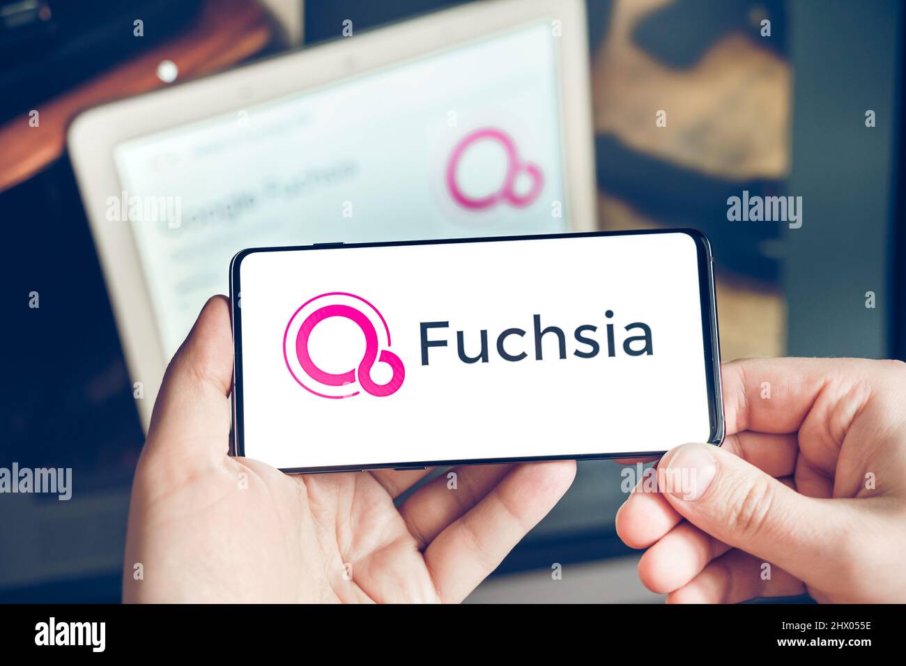 Moskau Russland 25.12.2021 Logo von Fuchsia. Open-Source-Betriebssystem, das von Google entwickelt wurde. Mann, der das Mobiltelefon in den Händen hält. Stockfoto