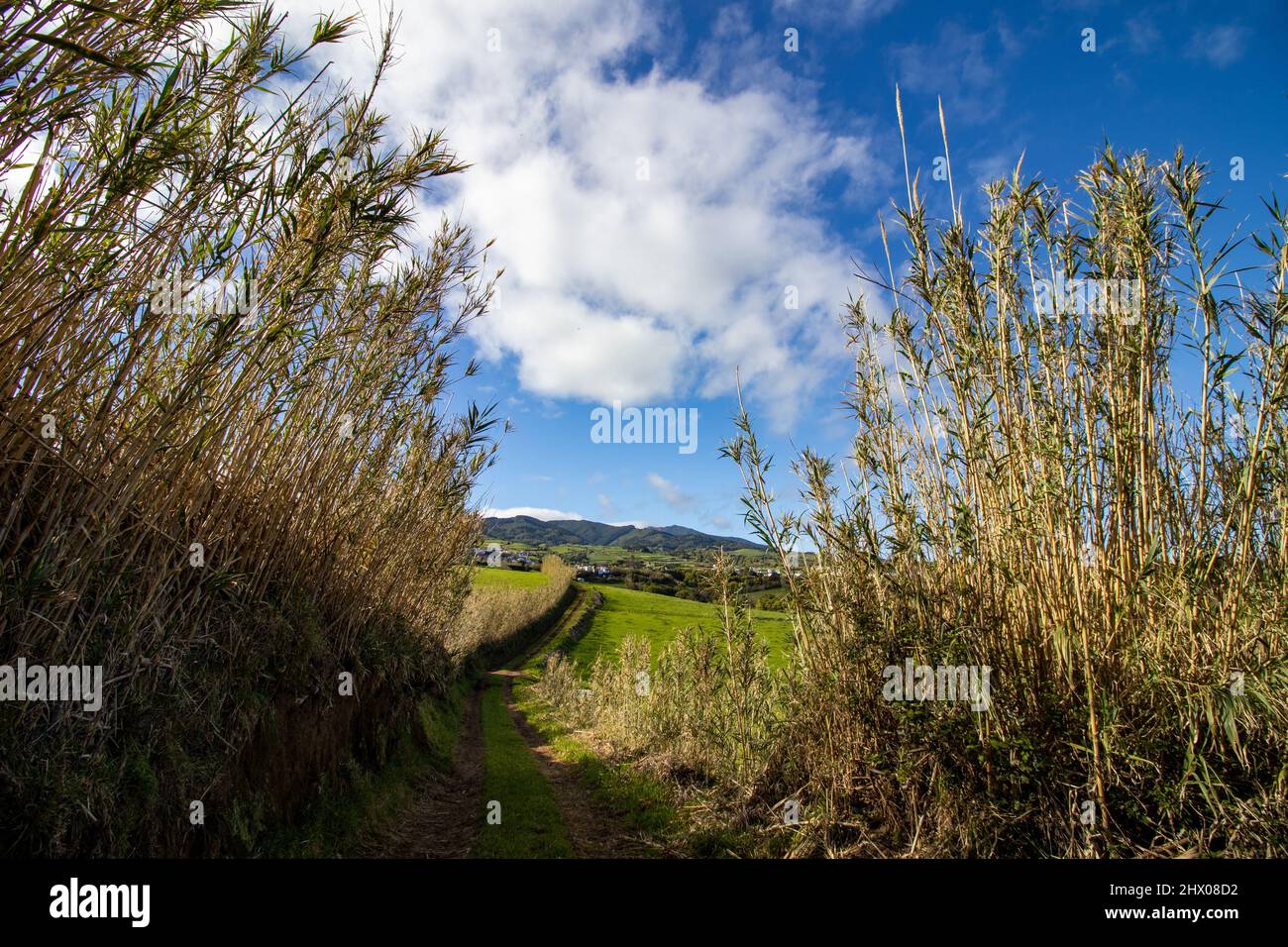 Fotografie von Wanderwegen in der Natur, grünen Landschaften, auf den Azoren Inseln, in der Mitte des Atlantischen Ozeans, Portugal. Stockfoto