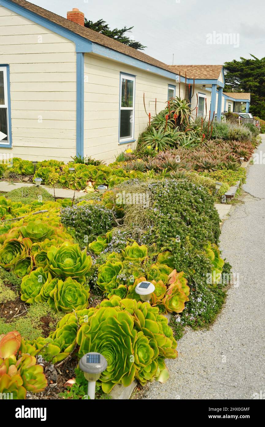 Historisches 1871 Coast Guard Pigeon Point Lighthouse mit Herberge Unterkunft entlang zerklüfteter Küste/Klippen mit Blick auf den Pazifischen Ozean, Pescadero, Kalifornien, USA Stockfoto