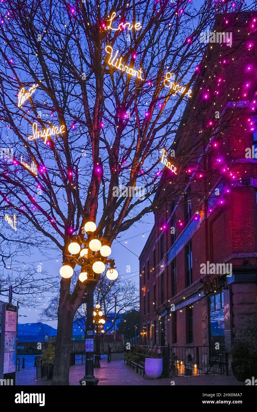 Rosa Lichter und beleuchtete Worte in Bäumen, Gastown, Vancouver, British Columbia, Kanada Stockfoto