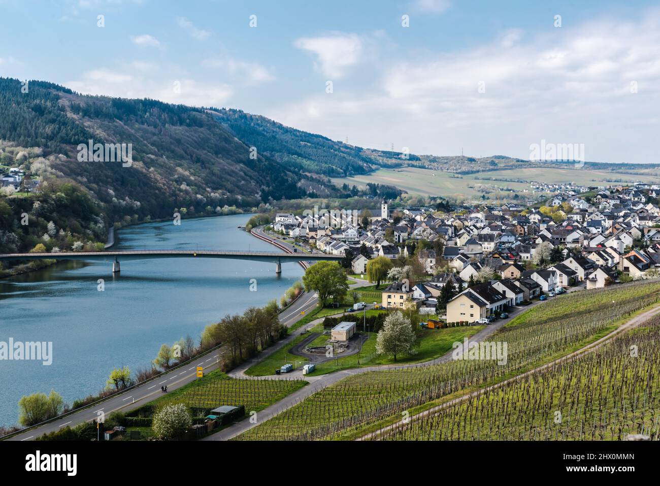 Mehring, Rheinland-Pfalz - Deutschland - 04 12 2019 - Blick über das Dorf  Mehring mit der gewundenen Mosel, umgeben von Weinbergen Stockfotografie -  Alamy