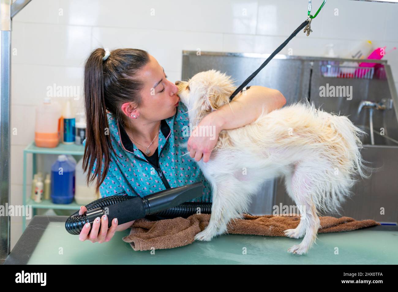 Junge Frau, die einen weißen Hund küsst, während sie ihn stöhnt Stockfoto