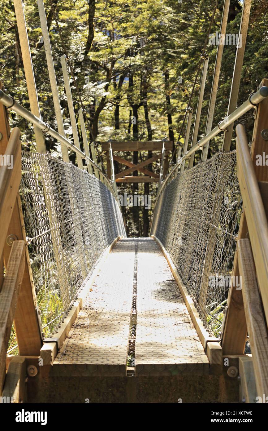 Swing Bridge Routeburn Track Mount Aspiring National Park Neuseeland Stockfoto