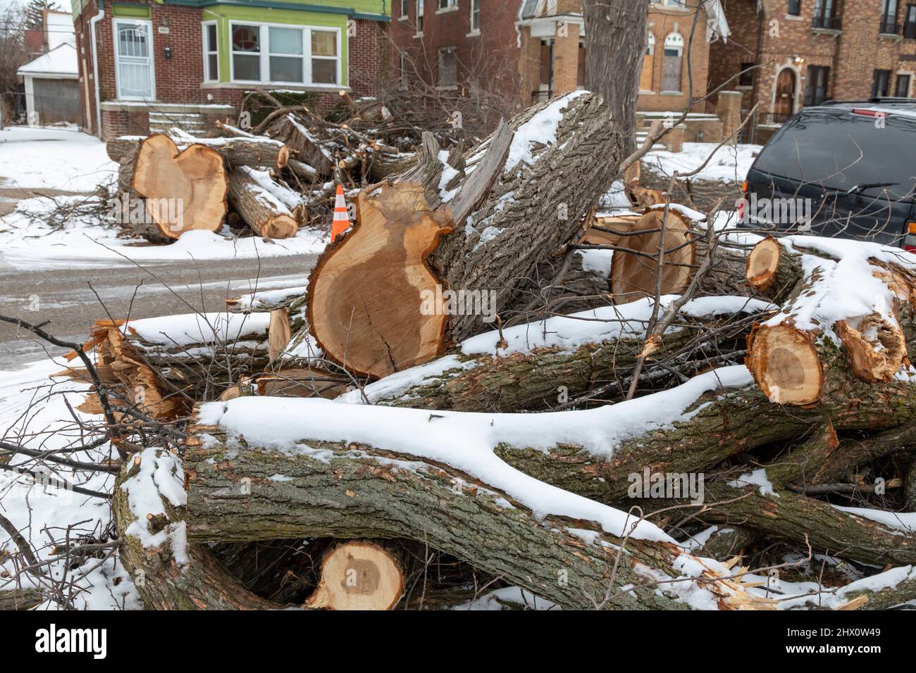 Detroit, Michigan - die Detroit Grounds Crew entfernt unerwünschte und kranke Bäume in einem Viertel von Detroit. Stockfoto
