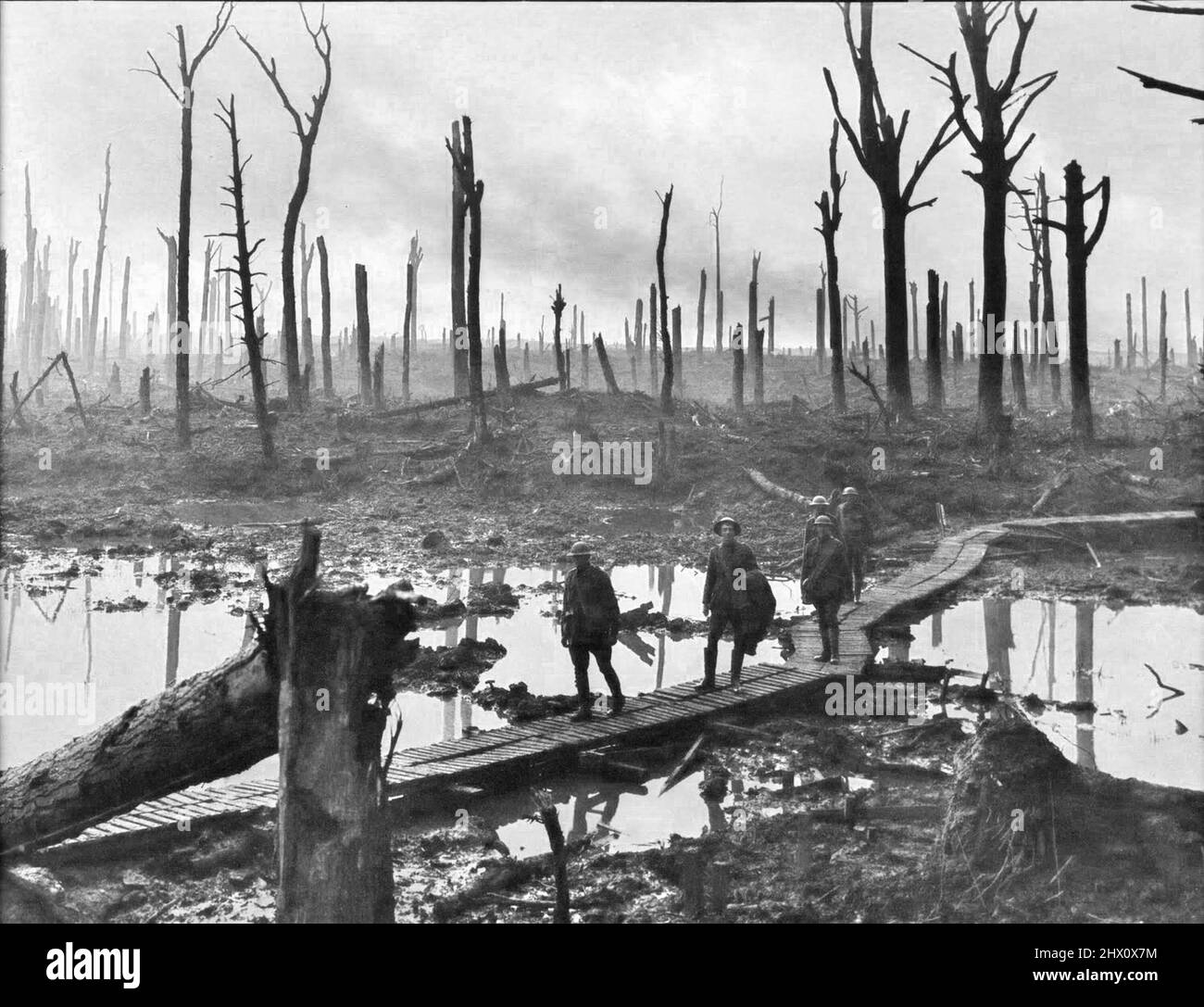 Soldaten einer australischen Artilleriebrigade der 4. Division auf einer Duckboard-Strecke, die durch Chateau Wood in der Nähe von Hooge im Ypern-Salient führt, 29. Oktober 1917. Die Männer gehören zu einer Batterie der 10. Field Artillery Brigade. Stockfoto