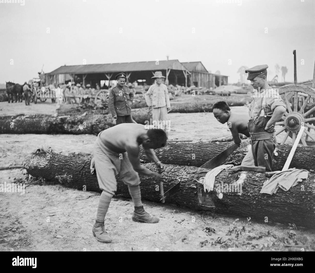 Britische Soldaten und Männer des chinesischen Arbeitskorps, die auf dem Holzhof in Caestre Holz für den Eisenbahnbau vorbereiten, 14. Juli 1917. Stockfoto