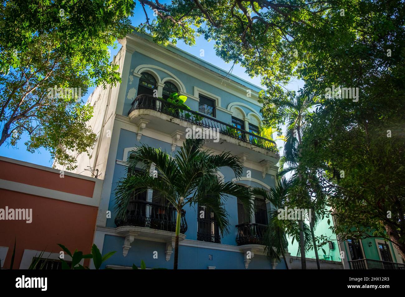 Üppige Vegetation vor historischen Häusern in Old San Juan, Puerto Rico Stockfoto