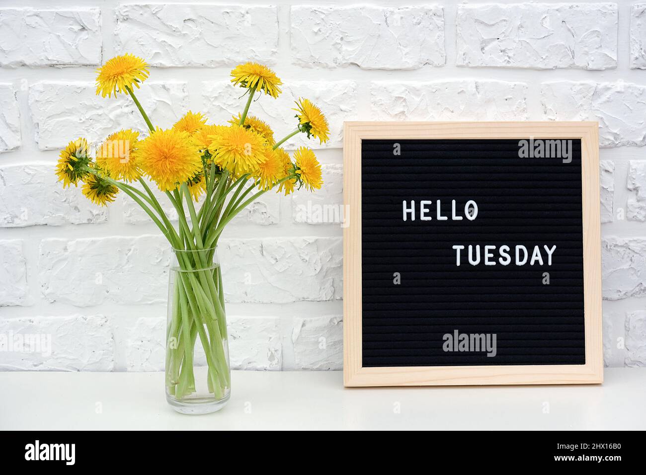 Hallo Dienstag Worte auf schwarzem Briefbrett und Strauß von gelben Dandelions Blumen auf dem Tisch gegen weiße Ziegelwand. Konzept Happy Monday. Vorlage f Stockfoto
