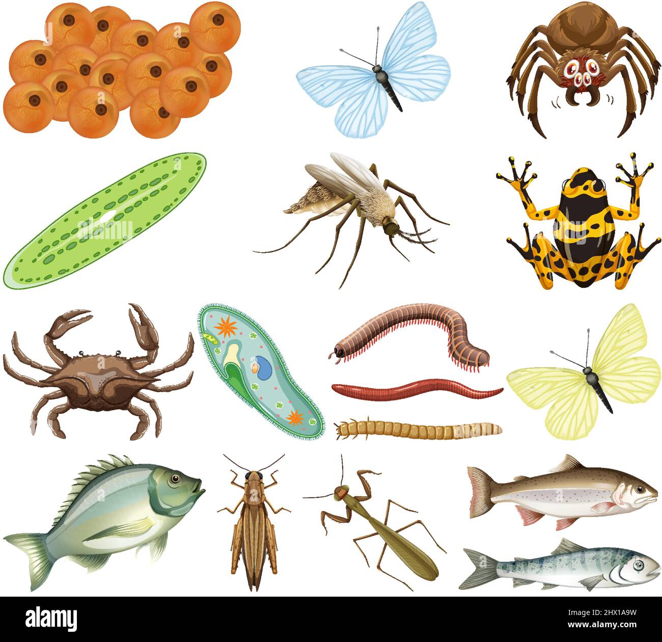 Viele Insekten und Tiere auf weißem Hintergrund Illustration Stock Vektor