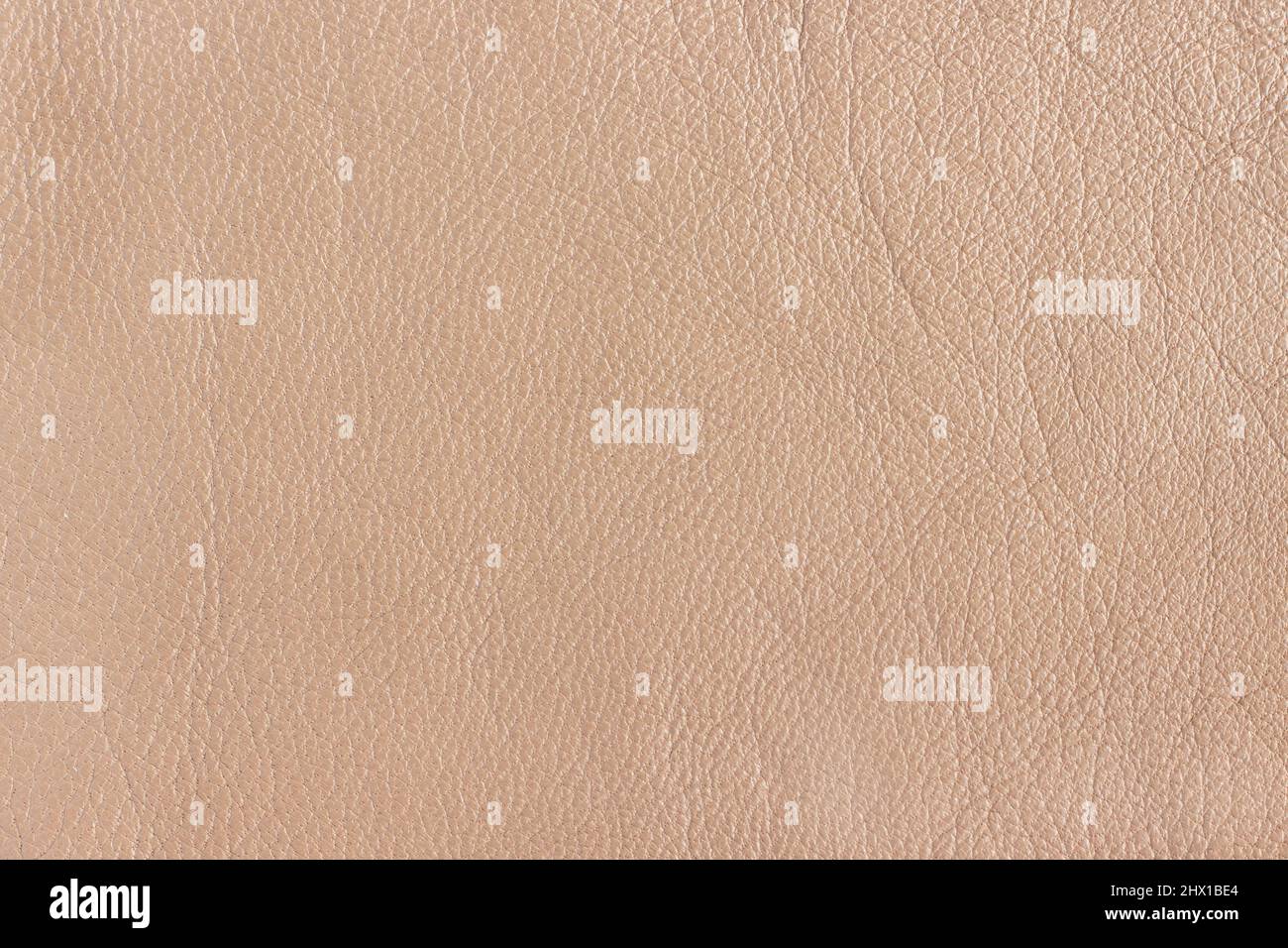 Oberfläche von echter Tierhaut mit Falten und Falten in beigefarbener Farbe. Leder als Hintergrund oder nahtlose Textur. Stockfoto