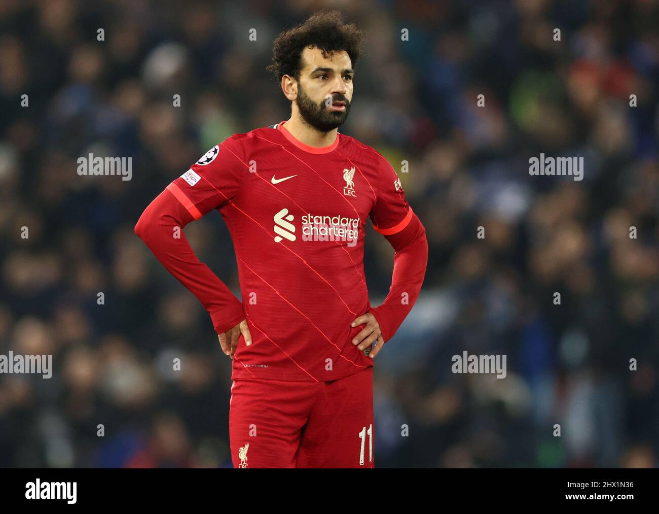 Liverpool, England, 8.. März 2022. Mohamed Salah von Liverpool während des UEFA Champions League-Spiels in Anfield, Liverpool. Bildnachweis sollte lauten: Darren Staples / Sportimage Stockfoto