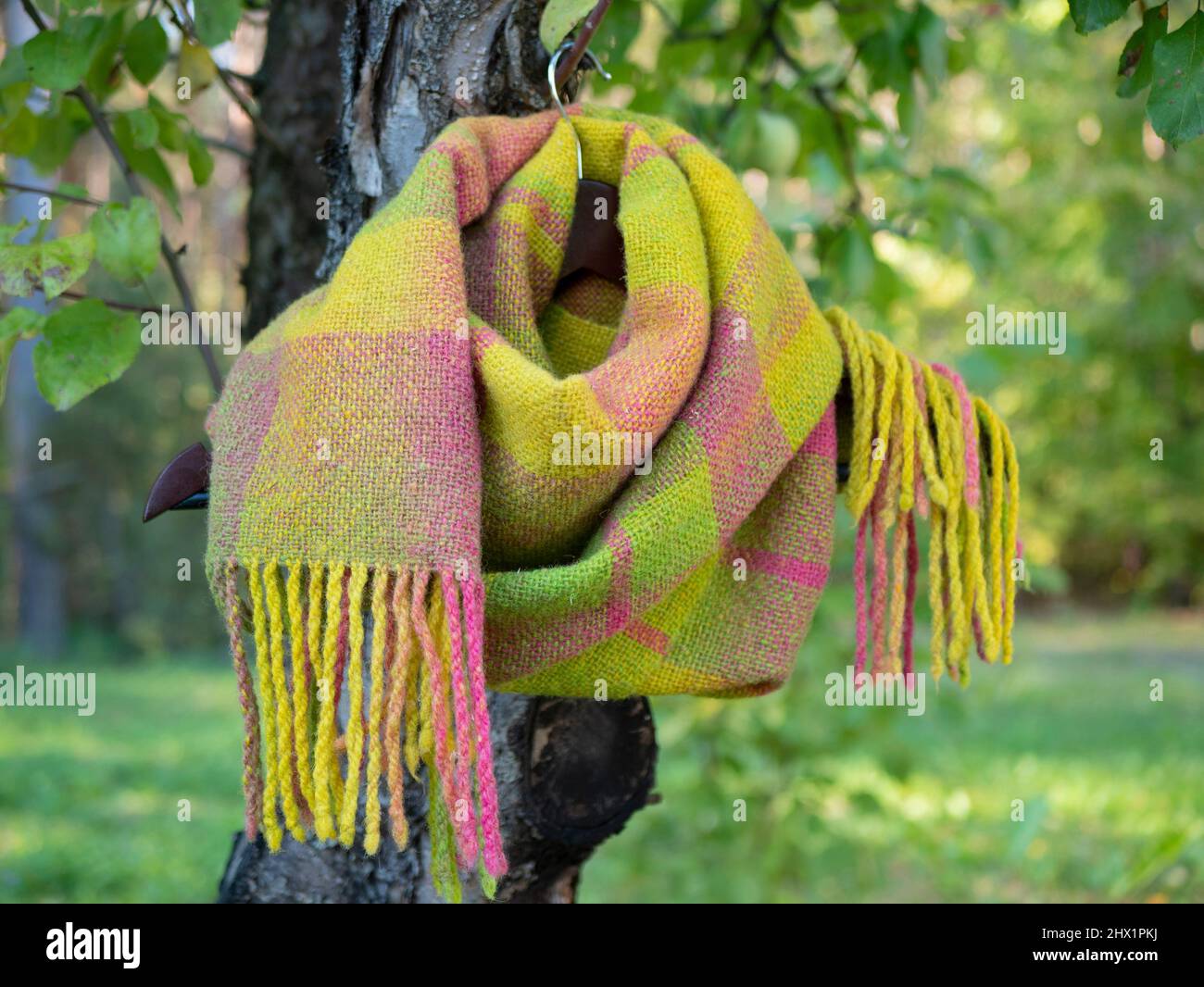Regenbogen Schal mit Fransen auf einem Kleiderbügel im Baum. Drapierter Schottenstoff im Freien, selektiver Fokus Stockfoto