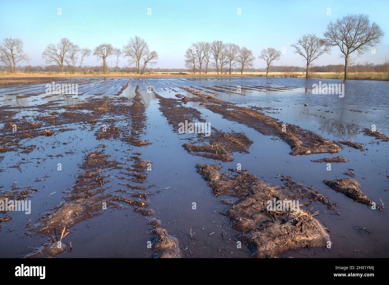 Schlammiges Feld nach schlechtem Wetter, überflutet nach starken Regenfällen im Winter Stockfoto