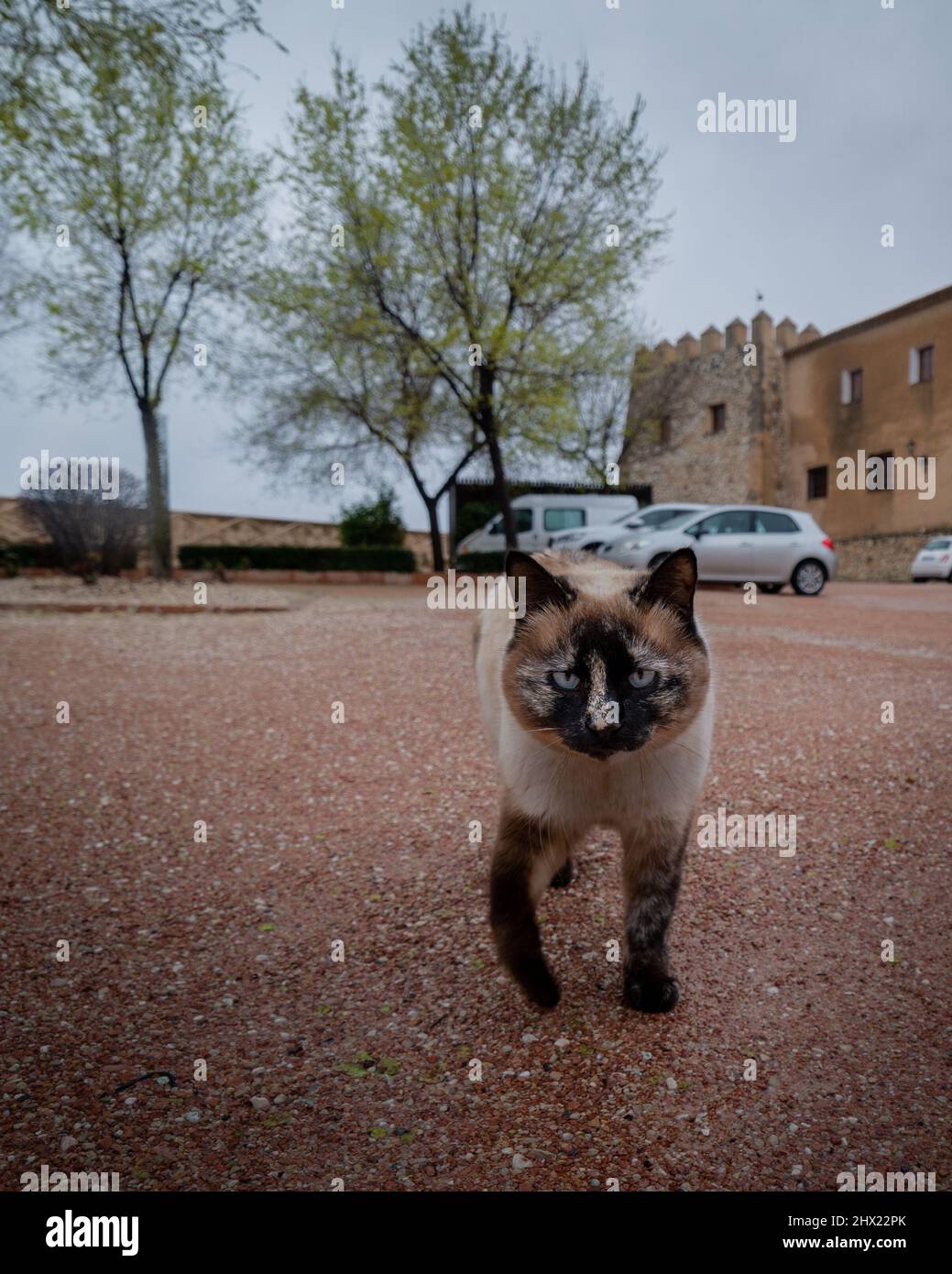 Genieße, was meine Augen sehen Stockfoto