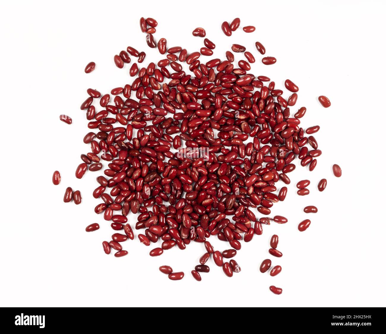 Haufen gekochter roter Kidney-Bohnen isoliert auf weißem Hintergrund. Stockfoto