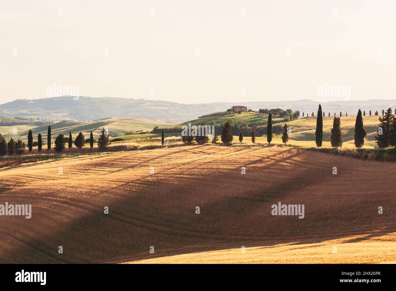 Toskanische Hügel mit kultivierten Feldern, einsames Bauernhaus und der gesamte Horizont ist in einen Sommerabend Dunst gehüllt Stockfoto