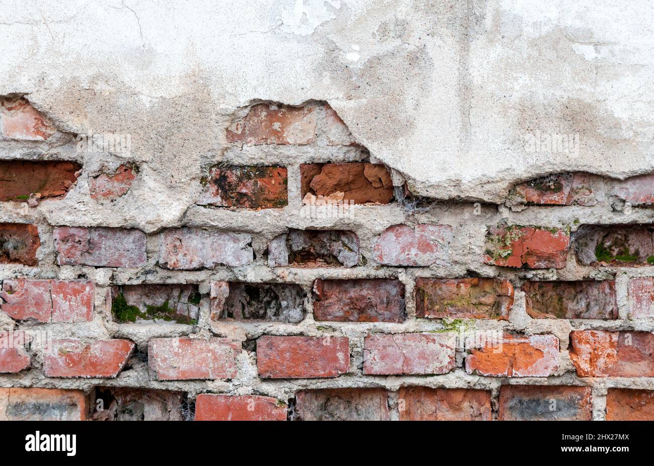 Alte Mauer mit Mauerwerk unter Putz Stockfoto