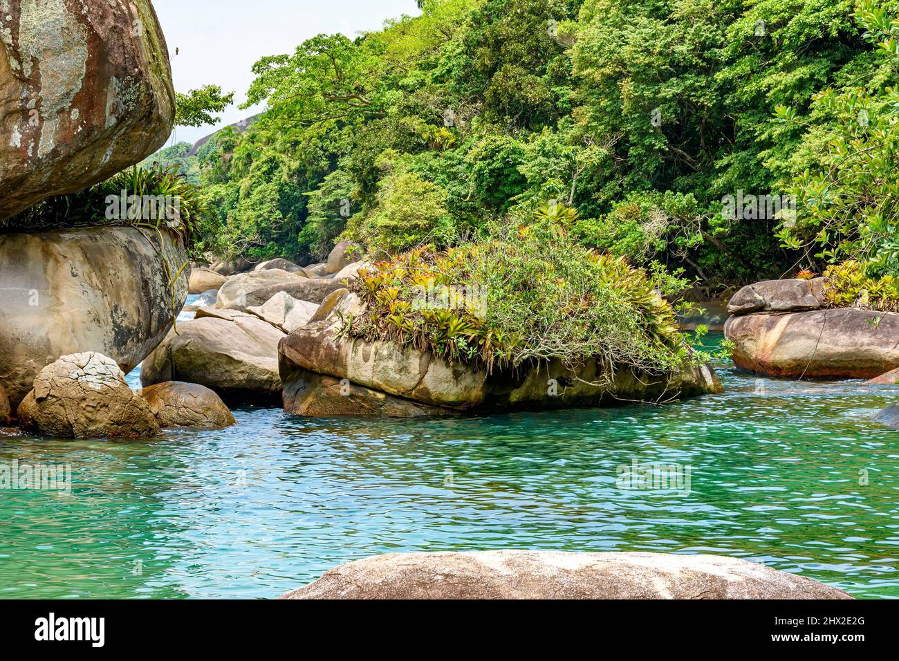 Salzwasserlagune zwischen den Felsen und dem erhaltenen tropischen Wald in Trindade an der Südküste des Bundesstaates Rio de Janeiro. Stockfoto