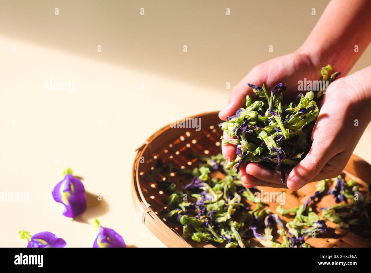 Bona Telang Kering oder getrocknete Butterfly Pea Blumen auf gewebtem Bambusblech. Isolierter Hintergrund. Stockfoto
