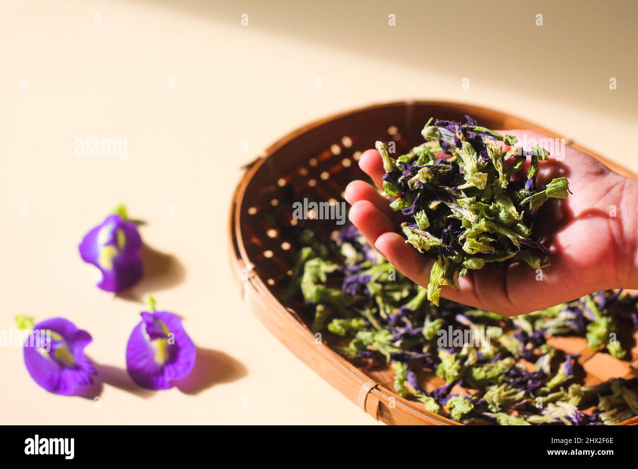Bona Telang Kering oder getrocknete Butterfly Pea Blumen auf gewebtem Bambusblech. Isolierter Hintergrund. Stockfoto