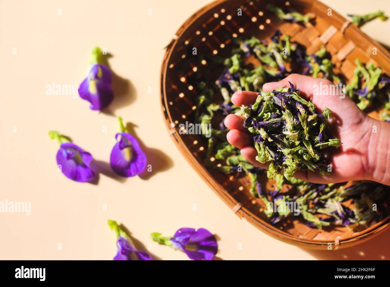Bona Telang Kering oder getrocknete Butterfly Pea Blumen auf gewebtem Bambusblech. Isolierter Hintergrund. Stockfoto