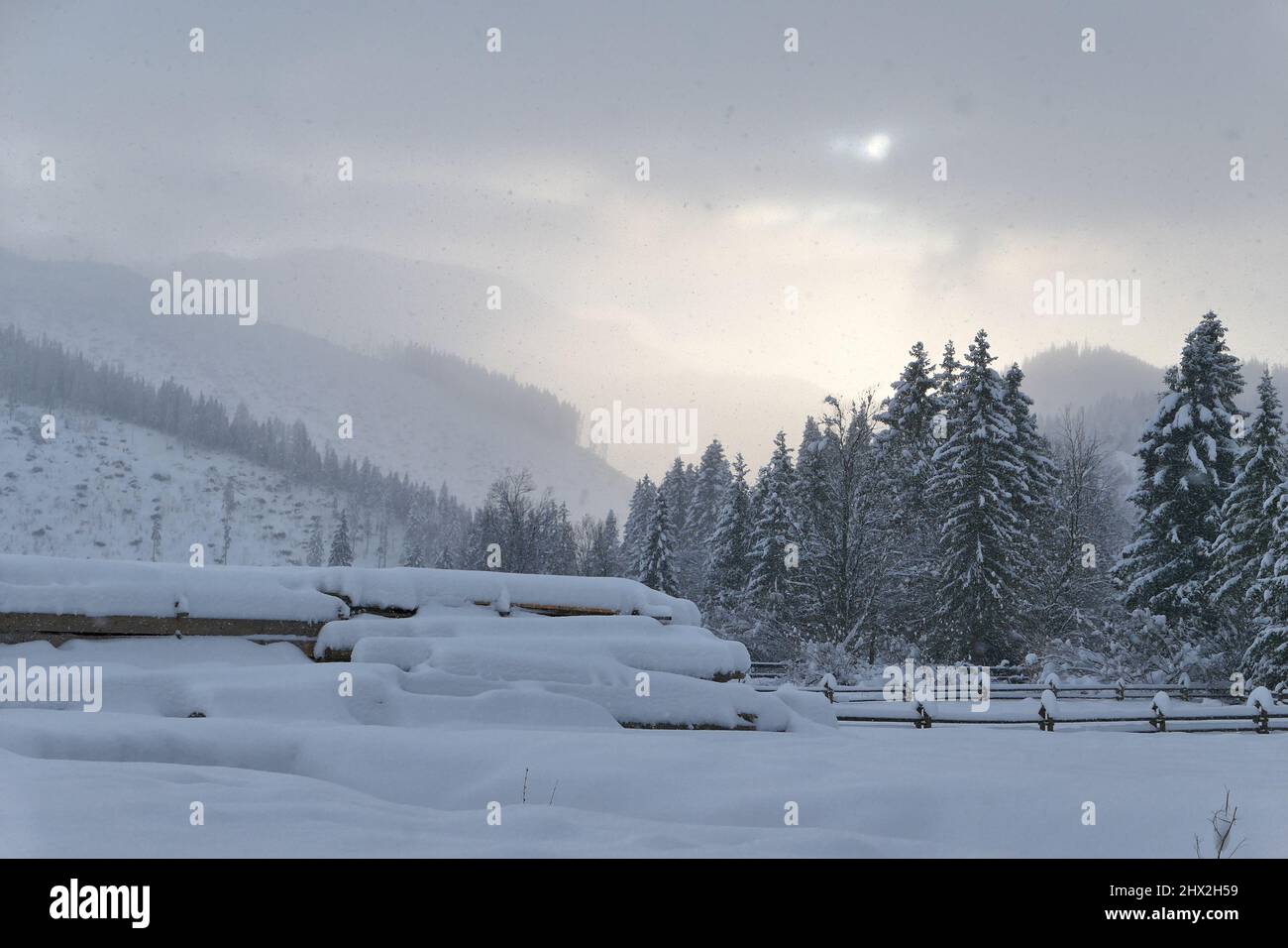 Winterlandschaft in den Bergen. Stockfoto
