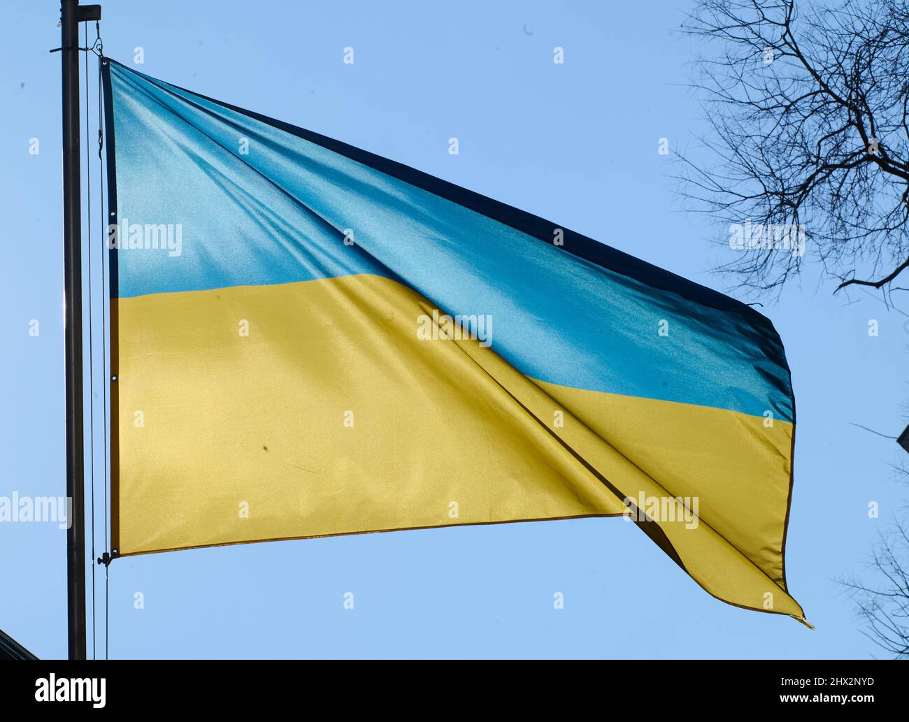 Berlin, Deutschland. 09. März 2022. Die ukrainische Flagge fliegt vor