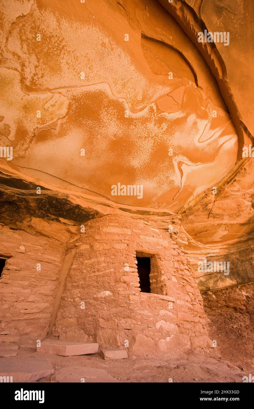 Die gefallene Decke oder das gefallene Dach ruinieren die Klippenanlage im Road Canyon Wilderness Study Area auf Cedar Mesa in Utah. Es ist eine 1000-jährige Ancestra Stockfoto