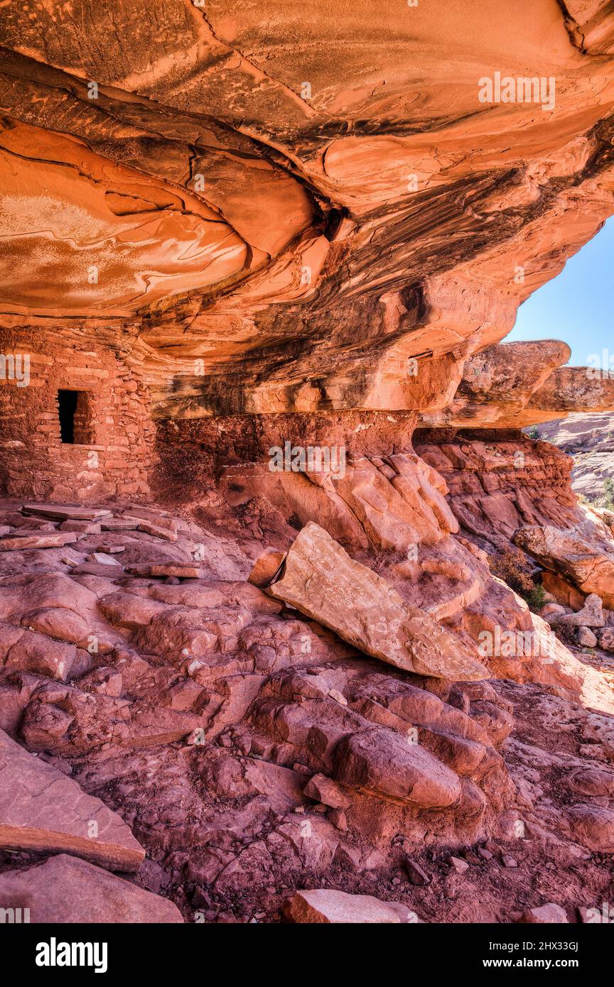 Die gefallene Decke oder das gefallene Dach ruinieren die Klippenanlage im Road Canyon Wilderness Study Area auf Cedar Mesa in Utah. Es ist eine 1000-jährige Ancestra Stockfoto