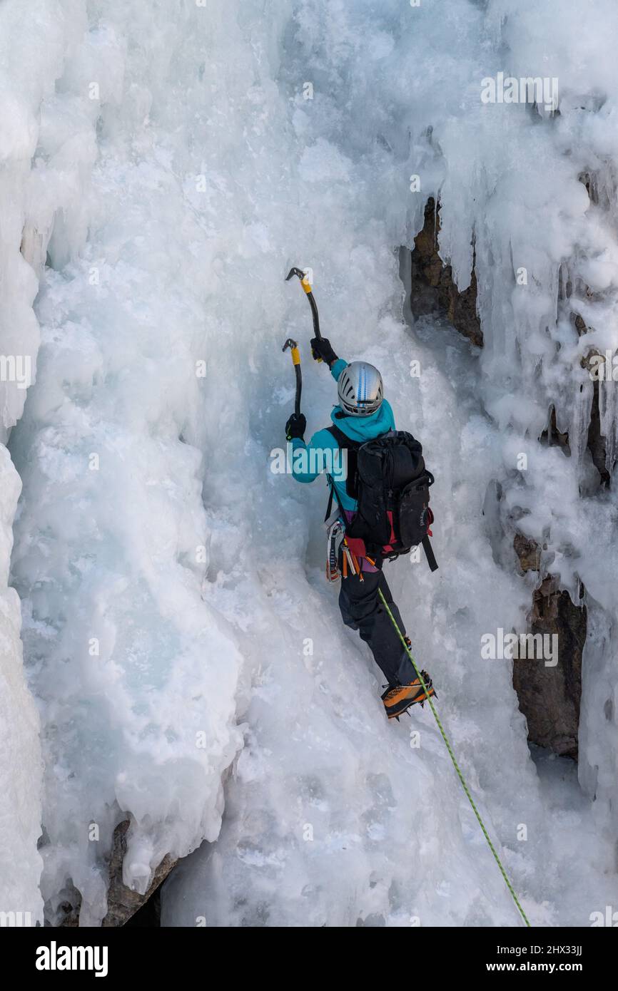 Ein männlicher Eiskletterer führt mit Eispickeln und Steigeisen auf eine Eiswand im Ouray Ice Park in Colorado. Ein Bleibergsteiger hat kein Top-Seil für Profis Stockfoto