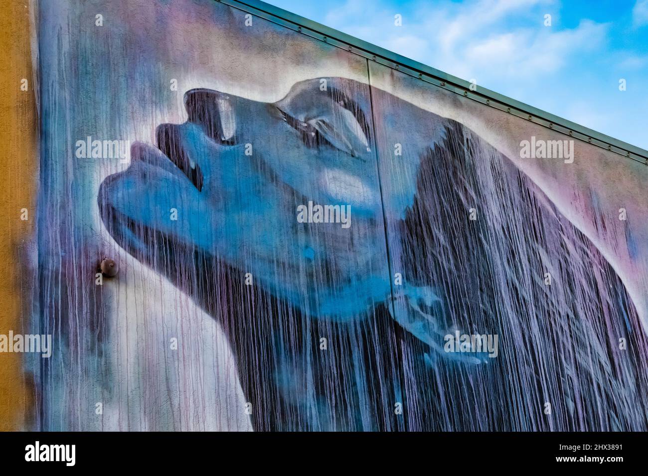 Dramatische Wandmalerei von Christina Angelina über eine starke Frau, im Stadtzentrum von Battle Creek, Michigan, USA [Künstler ist urheberrechtlich geschützt, keine Eigentumsfreigabe; Editorial li Stockfoto