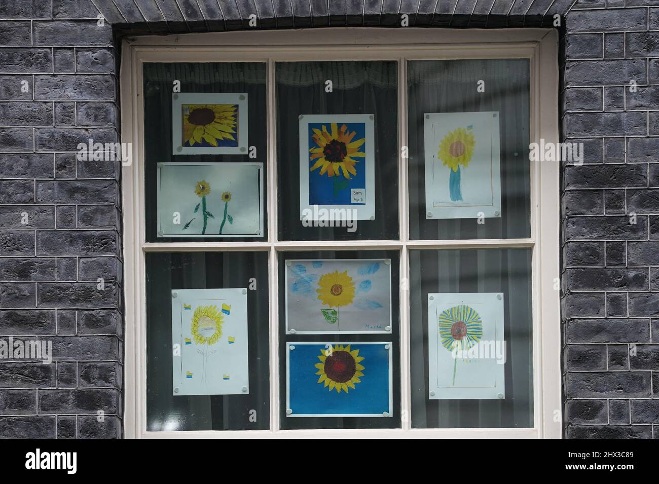 Zeichnungen von Sonnenblumen, der Nationalblume der Ukraine, in den Fenstern der Downing Street 10, London. Bilddatum: Mittwoch, 9. März 2022. Stockfoto