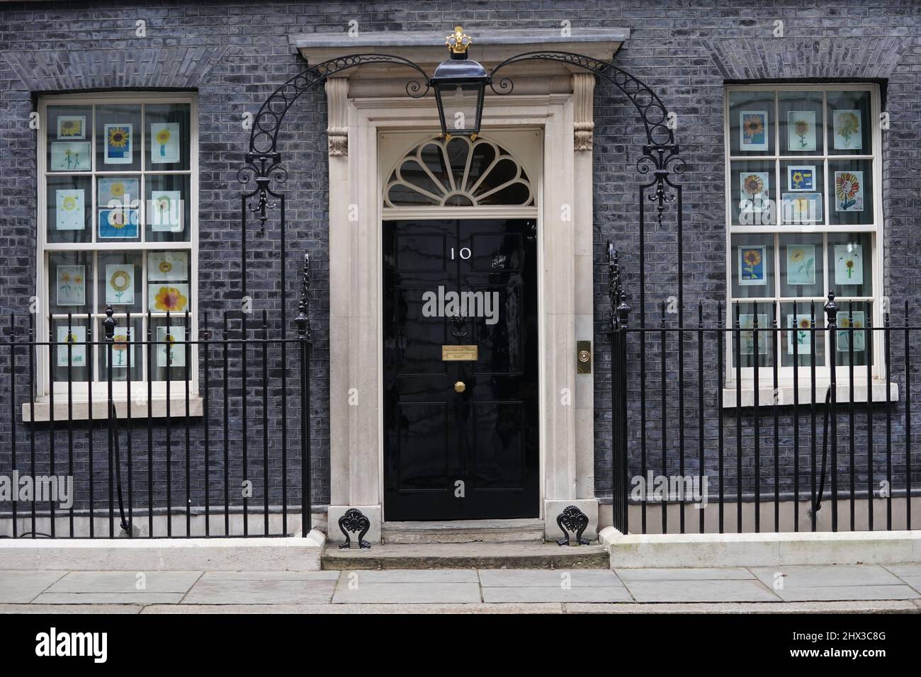 Zeichnungen von Sonnenblumen, der Nationalblume der Ukraine, in den Fenstern der Downing Street 10, London. Bilddatum: Mittwoch, 9. März 2022. Stockfoto