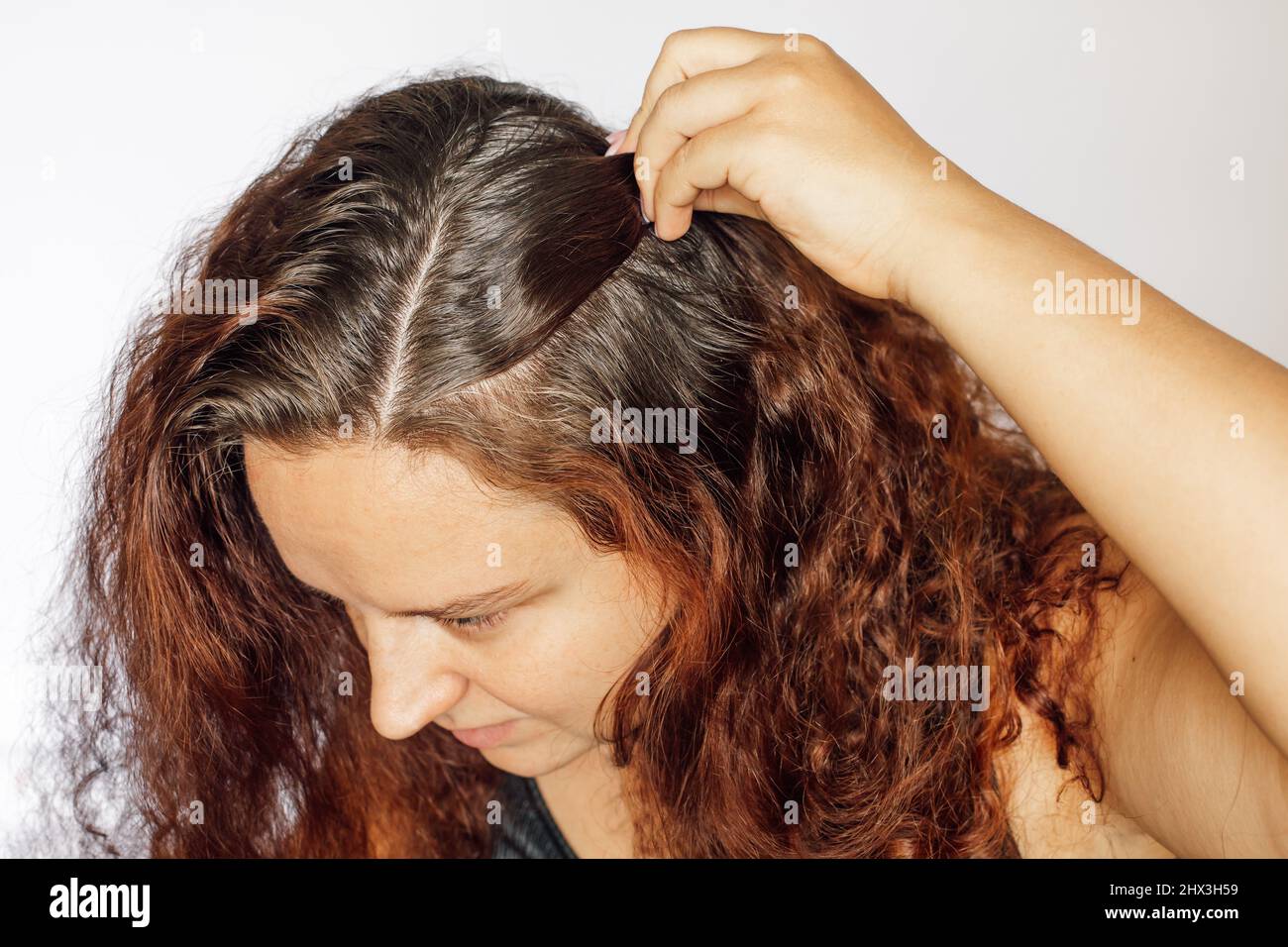 Nahaufnahme einer Frau, die die Hand nach hinten drückt, um die grauen Haarwurzeln auf weißem Hintergrund zu zeigen. Nachwachsende Wurzeln, die einer Wiederkölerung bedürfen. Anti Stockfoto