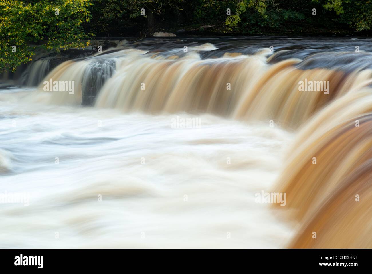 Aysgarth Upper Falls am Fluss Ure in Wensleydale, Yorkshire Dales National Park Stockfoto