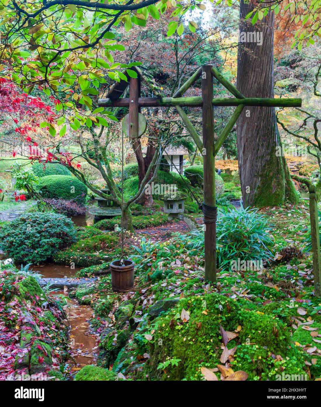 Herbstansicht eines traditionellen Holzrahmens für die Wasseraufbringung im japanischen Garten im Tatton Park in der Nähe von Knustford, Ceshire Stockfoto