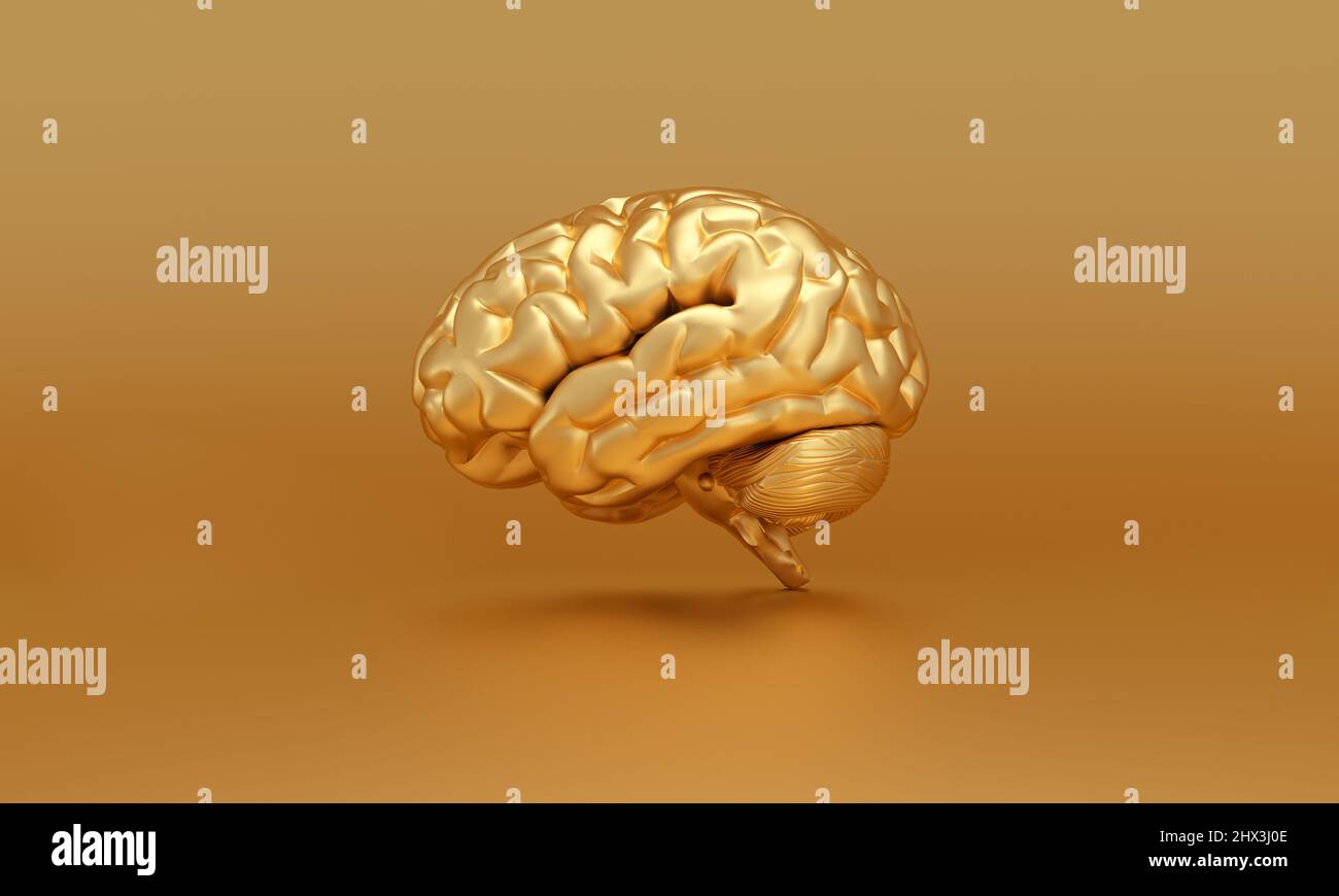 Goldenes Gehirn auf goldenem Hintergrund, Denken, geniales Konzept. 3D Rendern. Stockfoto