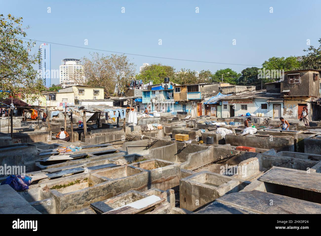 Blick auf Reihen von Betonwaschstiften im Mahalaxmi Dhobi Ghat, einem großen Open-Air-Waschsalon in Mumbai, Indien Stockfoto