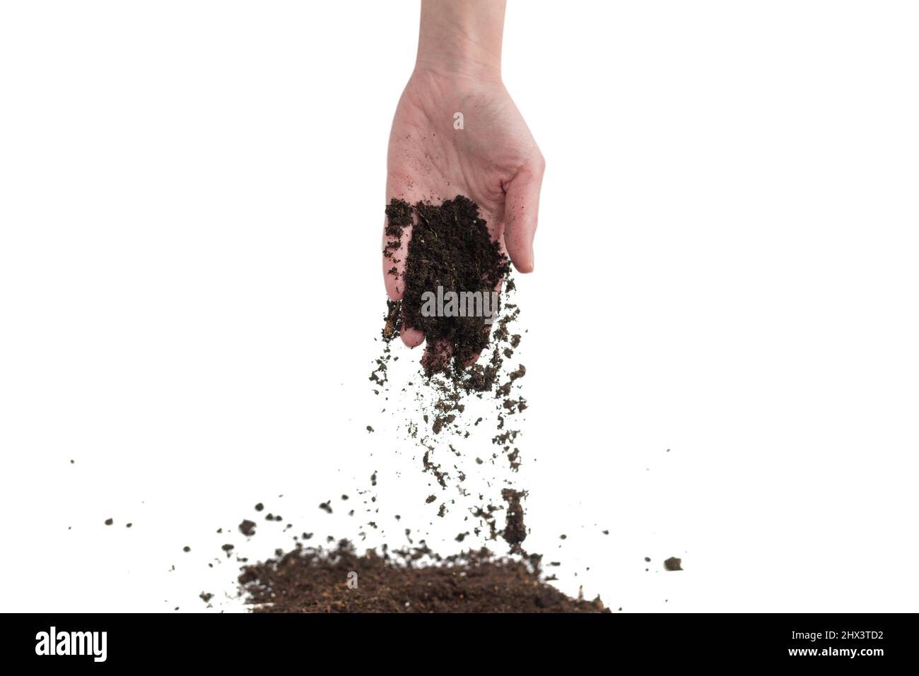 Brauner Boden in den Händen der Frau isoliert auf weißem Hintergrund. Der Boden fällt aus der Hand. Stockfoto