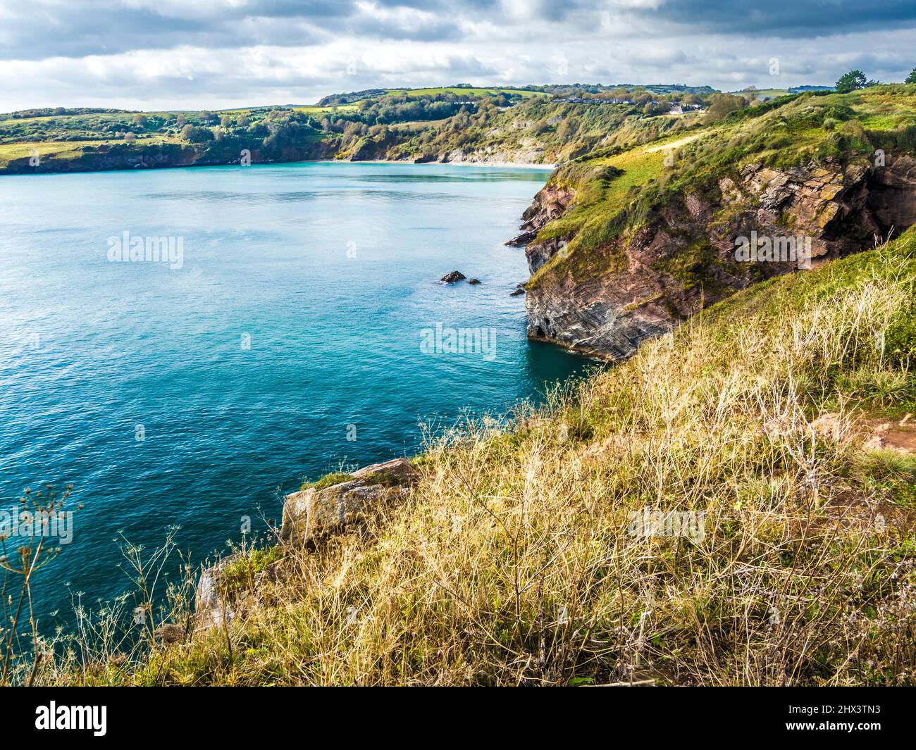 Blick vom South West Coast Path in Richtung St. Mary's Bay und Sharkham Point in der Nähe von Brixham, Devon. Stockfoto