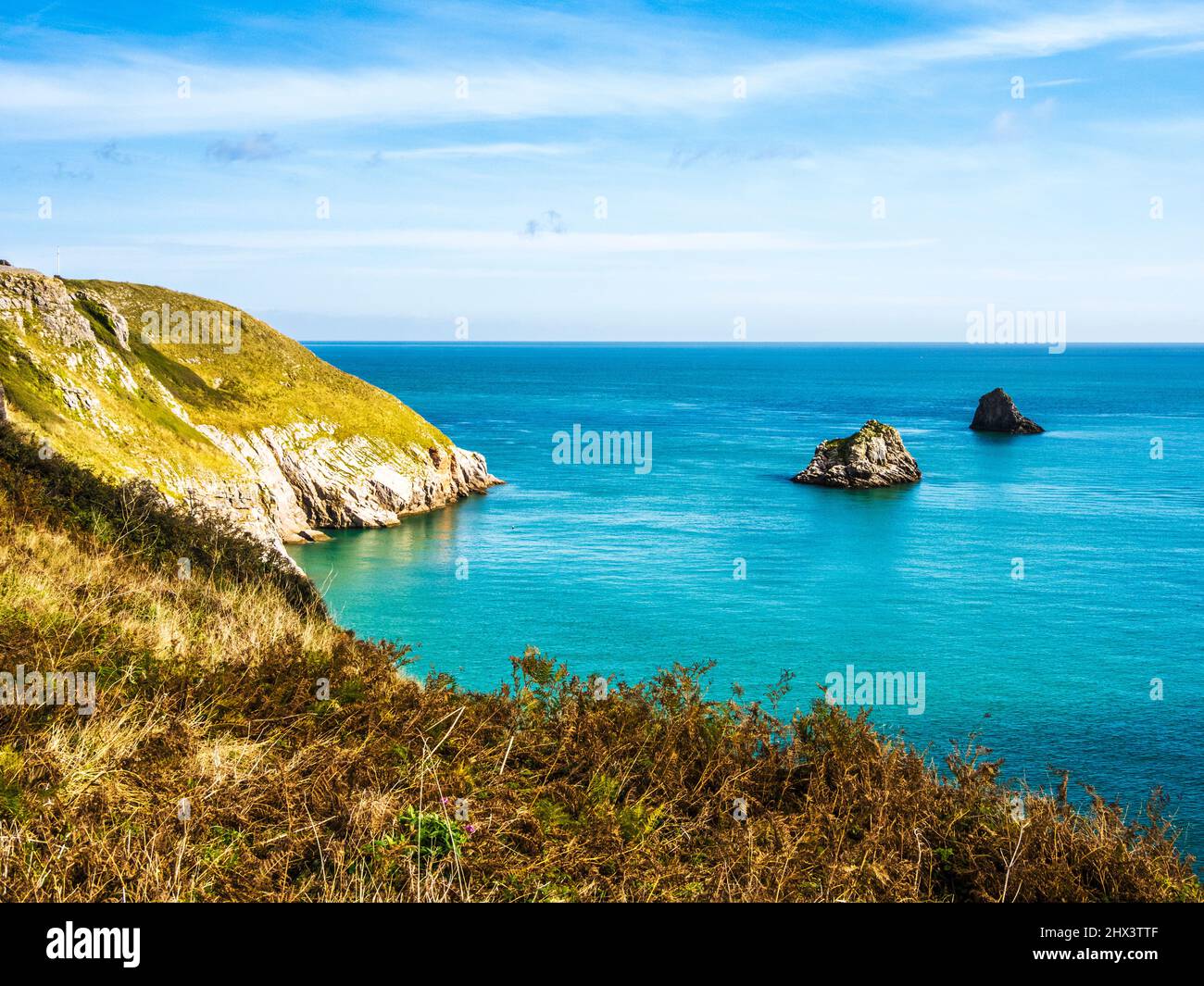 Blick vom South West Coast Path in der Nähe von Berry Head, Brixham, Devon. Stockfoto